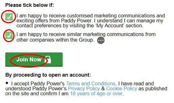 PaddyPower Terms and condition field